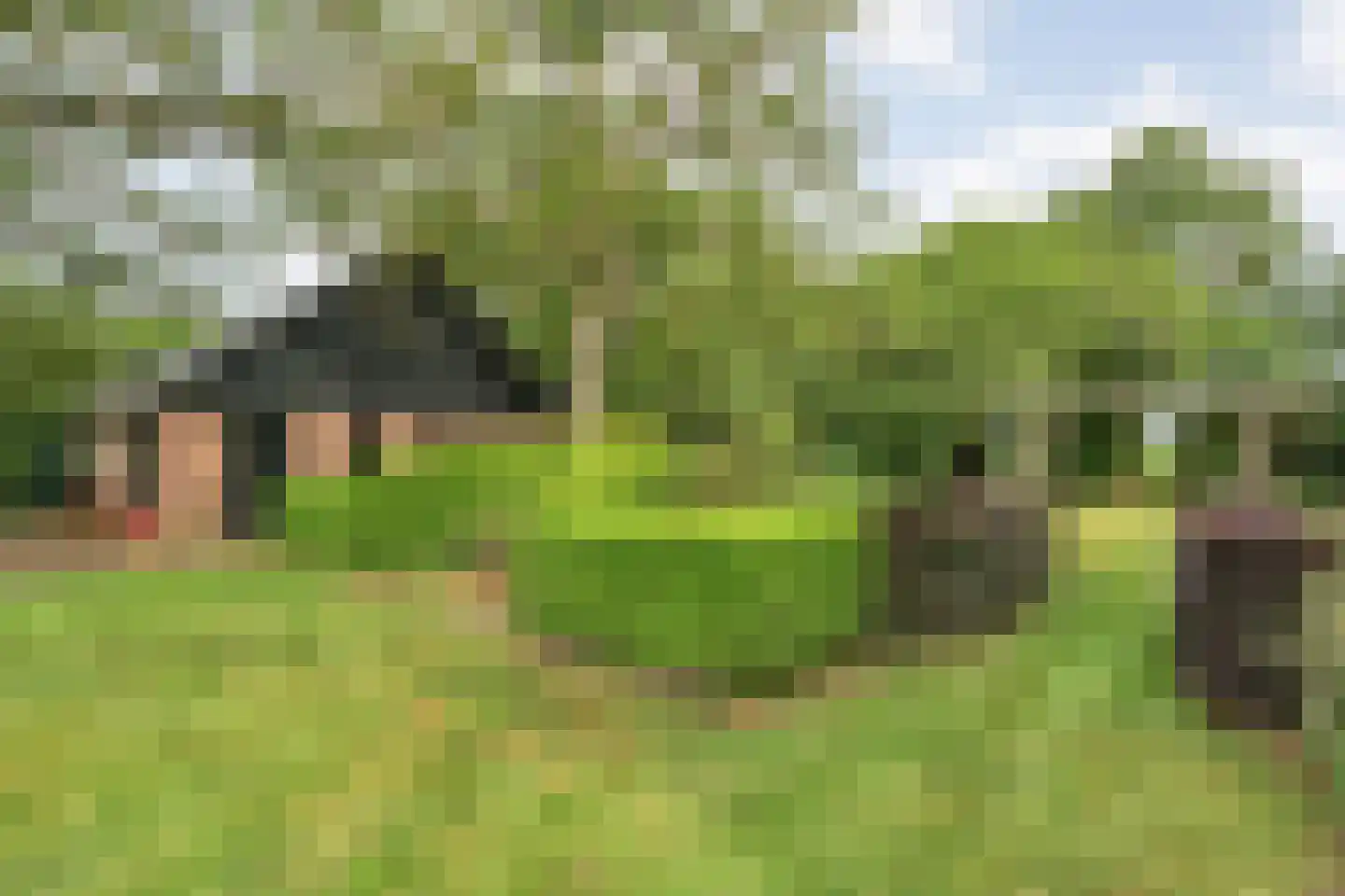 Eldijk 18 Dalen thumbnail 68