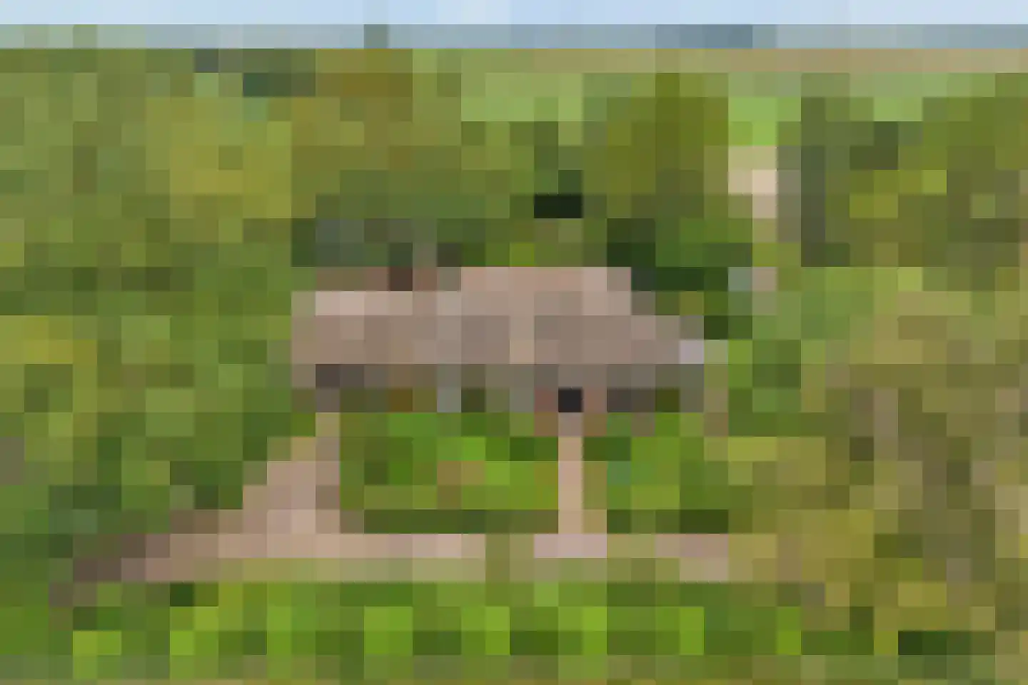Eldijk 18 Dalen thumbnail 7