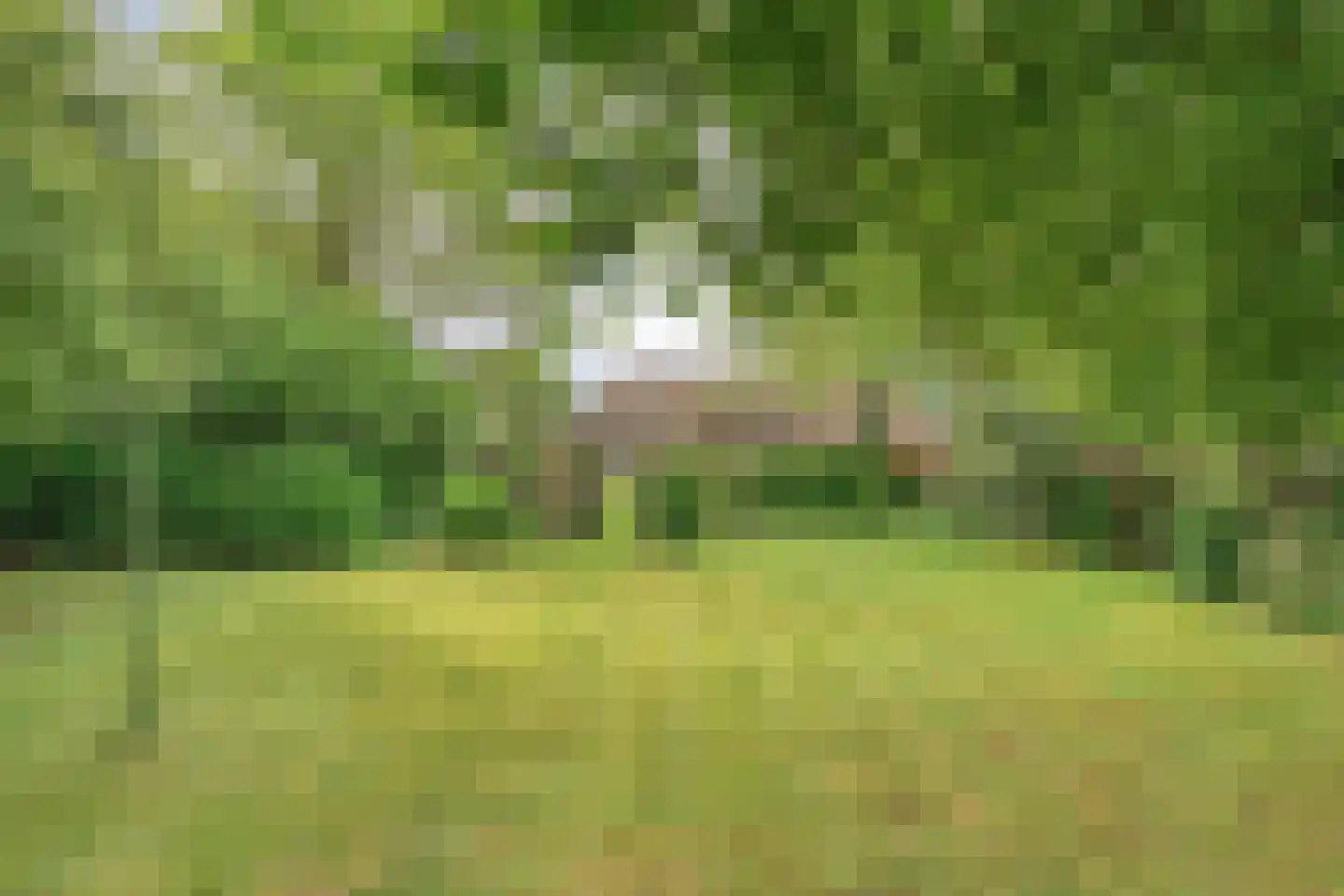 Eldijk 18 Dalen thumbnail 70