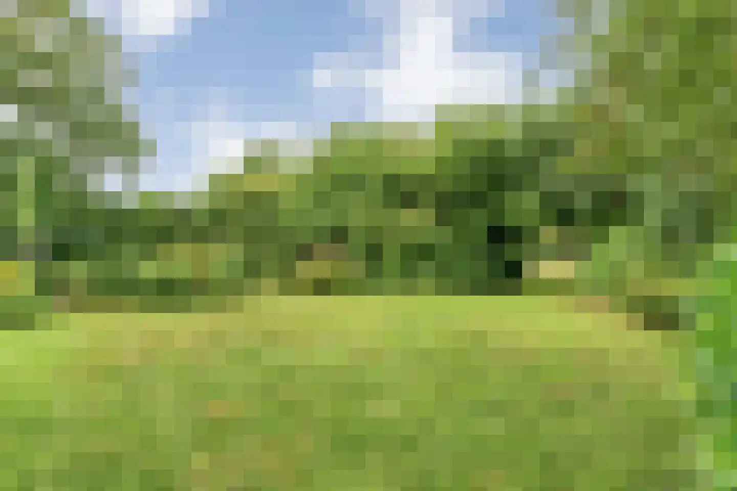 Eldijk 18 Dalen thumbnail 73