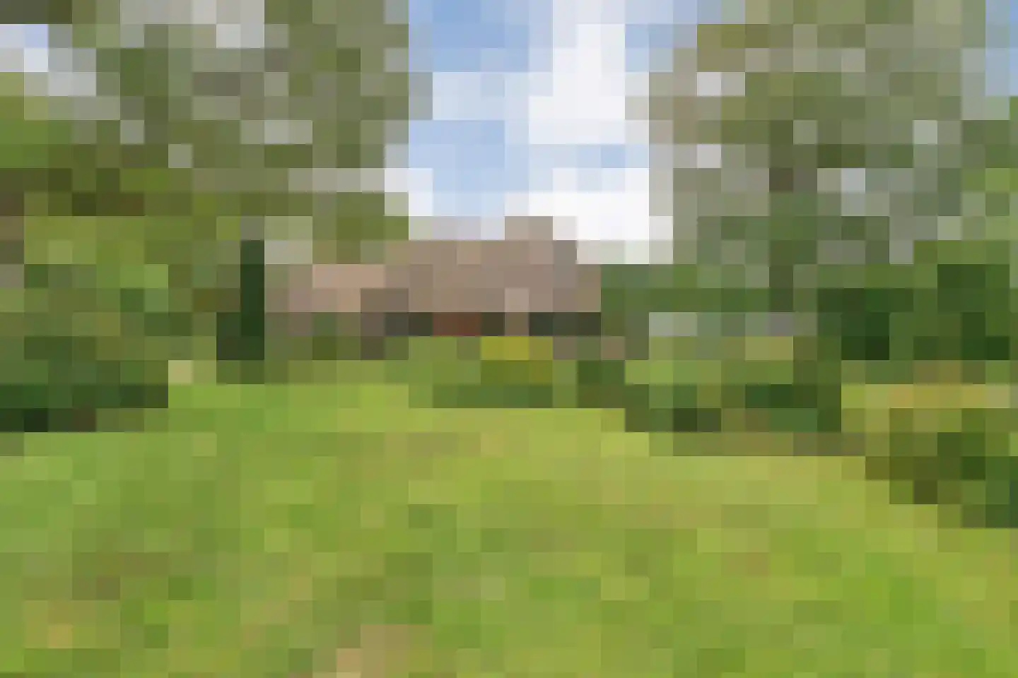 Eldijk 18 Dalen thumbnail 75