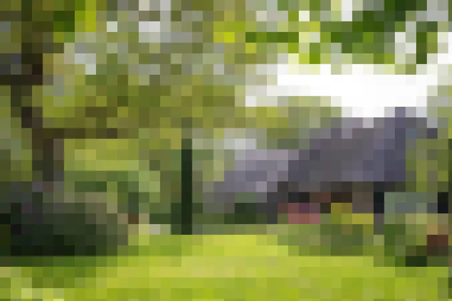 Eldijk 18 Dalen thumbnail 76