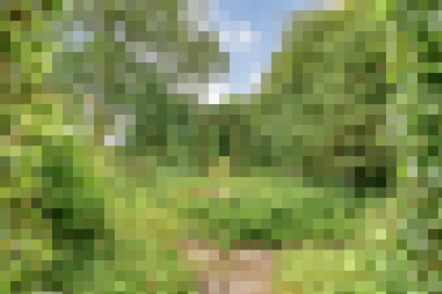 Eldijk 18 Dalen thumbnail 77