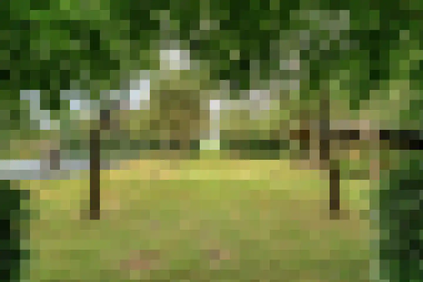 Eldijk 18 Dalen thumbnail 78