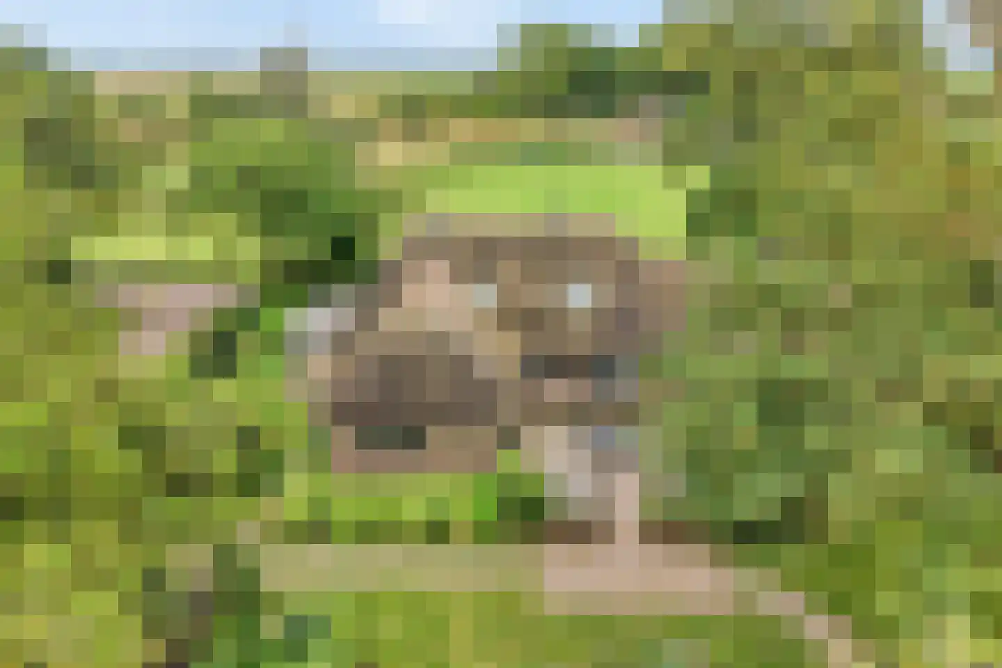 Eldijk 18 Dalen thumbnail 8