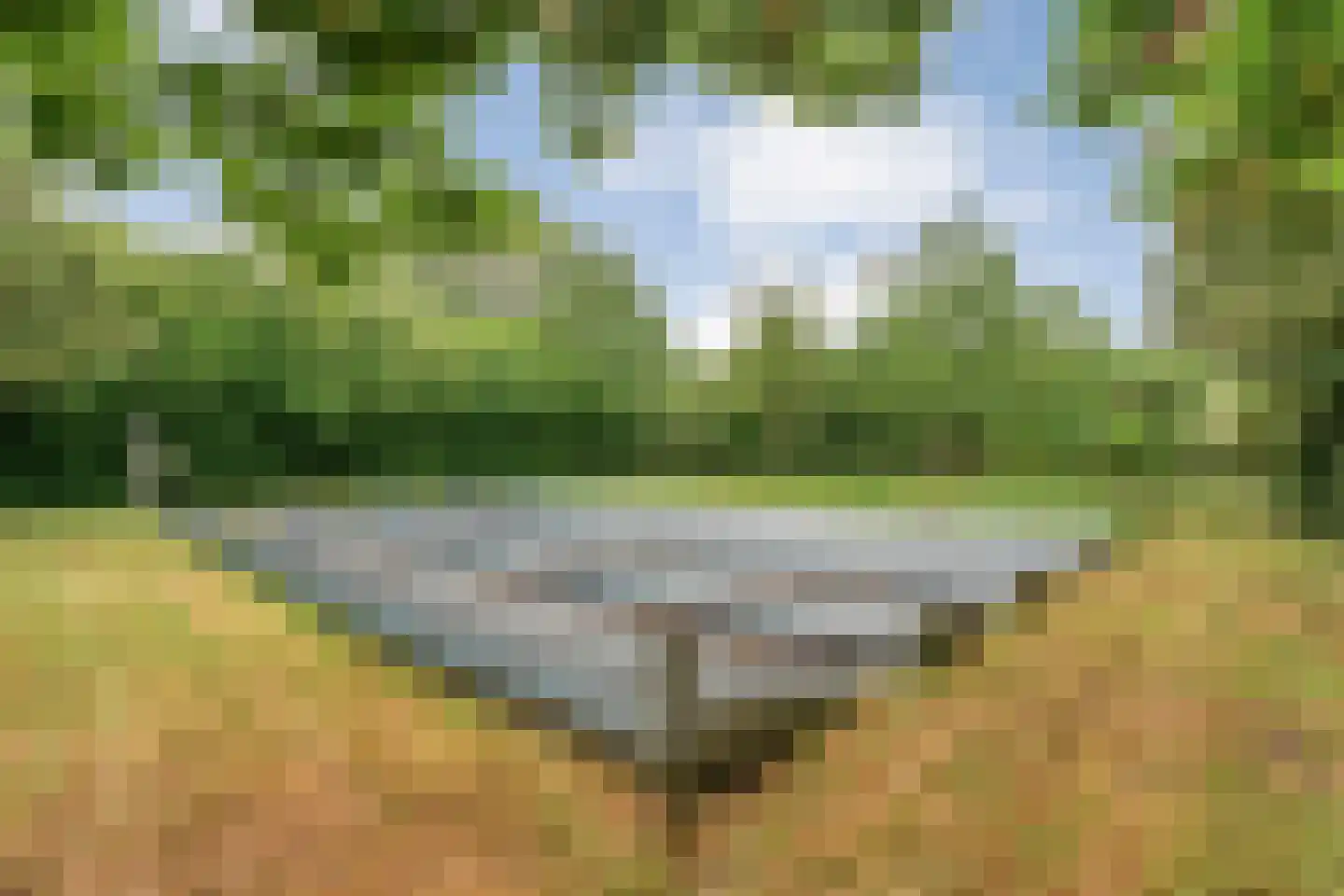 Eldijk 18 Dalen thumbnail 81