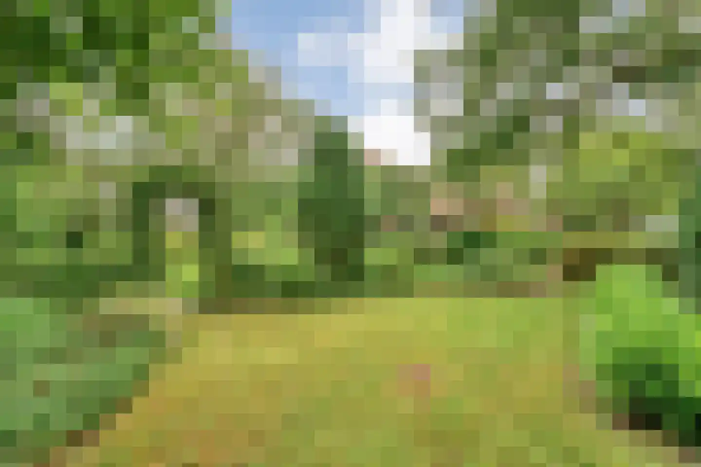 Eldijk 18 Dalen thumbnail 86