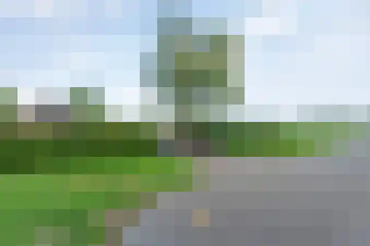Eldijk 5 Holsloot thumbnail 10