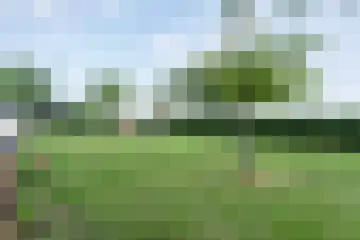 Eldijk 5 Holsloot thumbnail 11