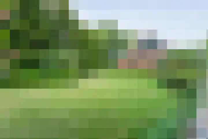 Eldijk 5 Holsloot thumbnail 12