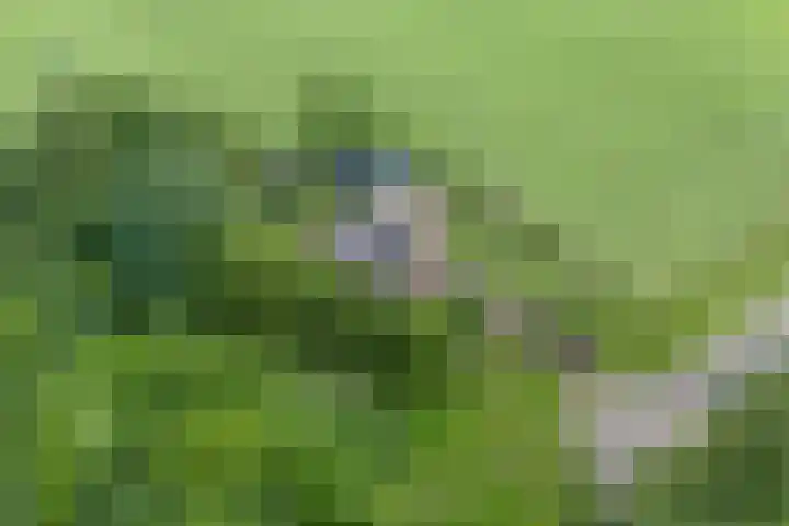 Eldijk 5 Holsloot thumbnail 4