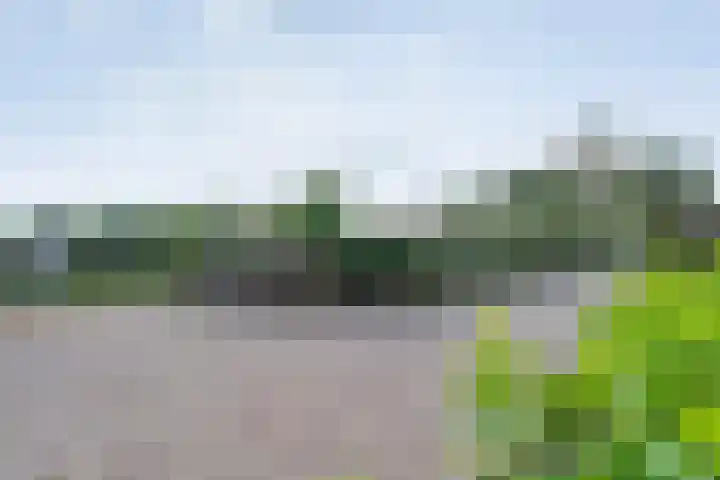 Eldijk 5 Holsloot thumbnail 45