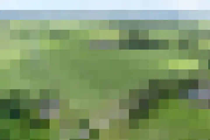 Eldijk 5 Holsloot thumbnail 5