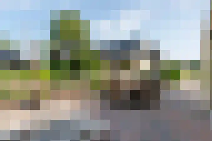 Eldijk 5 Holsloot thumbnail 50