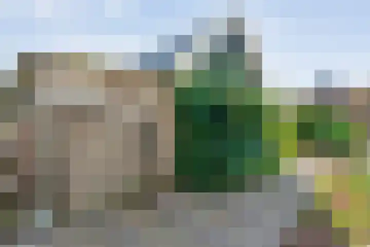 Eldijk 5 Holsloot thumbnail 57