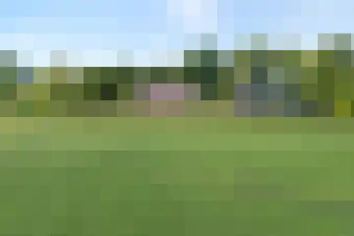 Eldijk 5 Holsloot thumbnail 6