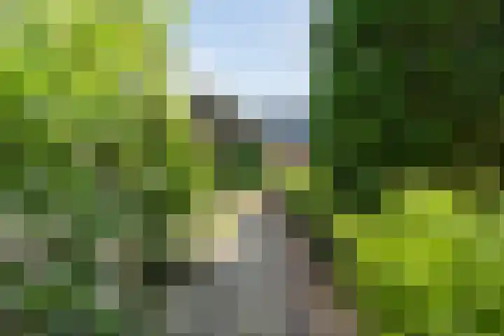 Eldijk 5 Holsloot thumbnail 63