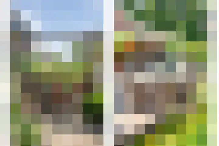 Eldijk 5 Holsloot thumbnail 64