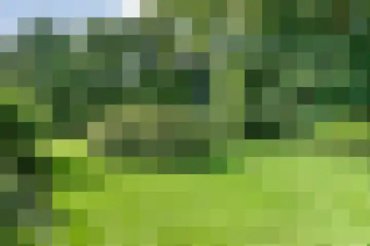 Eldijk 5 Holsloot thumbnail 66