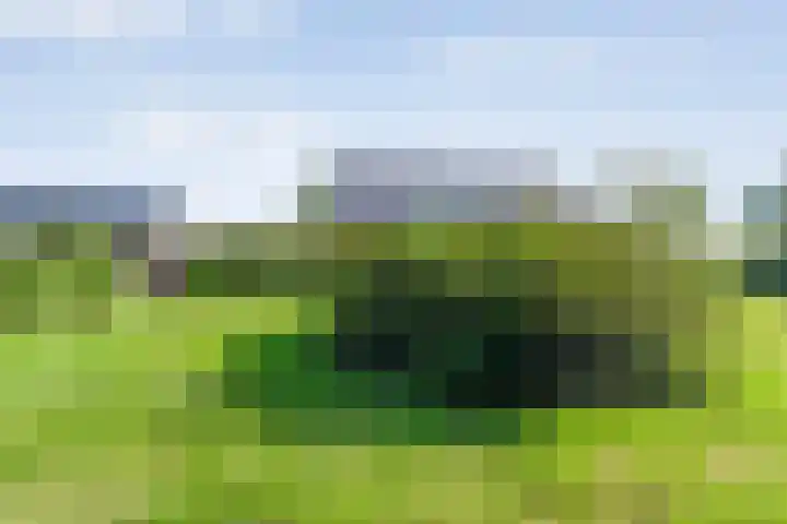 Eldijk 5 Holsloot thumbnail 67