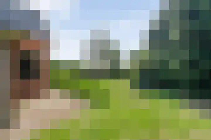 Eldijk 5 Holsloot thumbnail 68