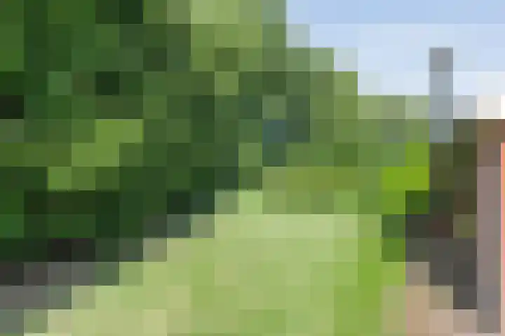 Eldijk 5 Holsloot thumbnail 69