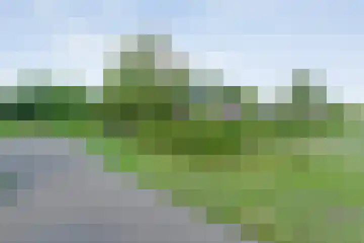 Eldijk 5 Holsloot thumbnail 8