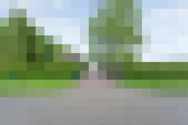 Eldijk 5 Holsloot thumbnail 9