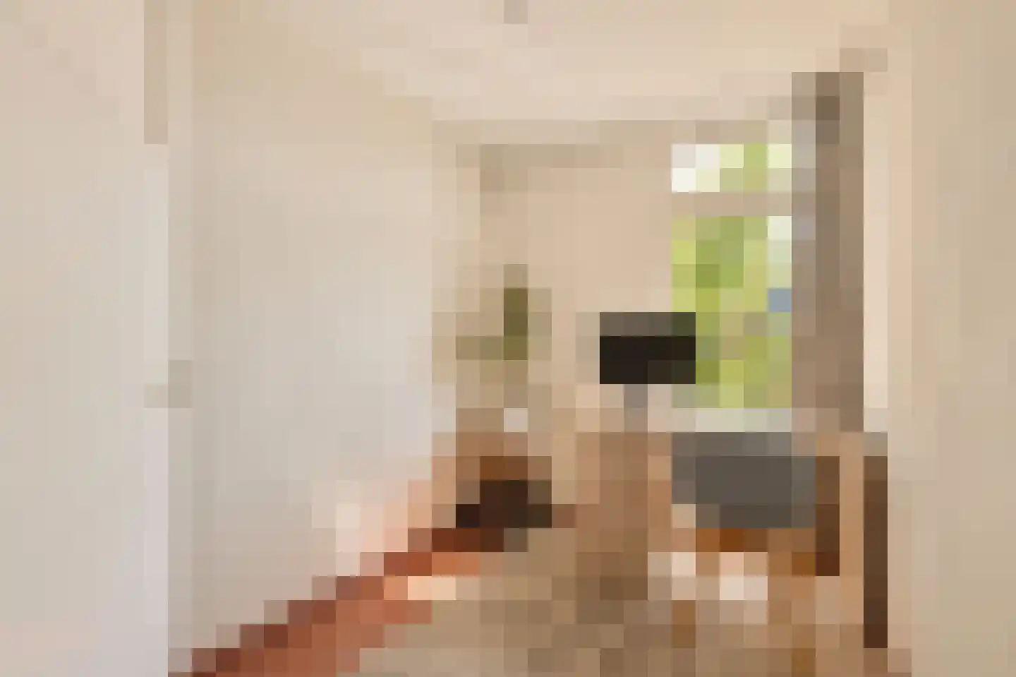 Eleanor Rooseveltlaan 150 Amstelveen thumbnail 17