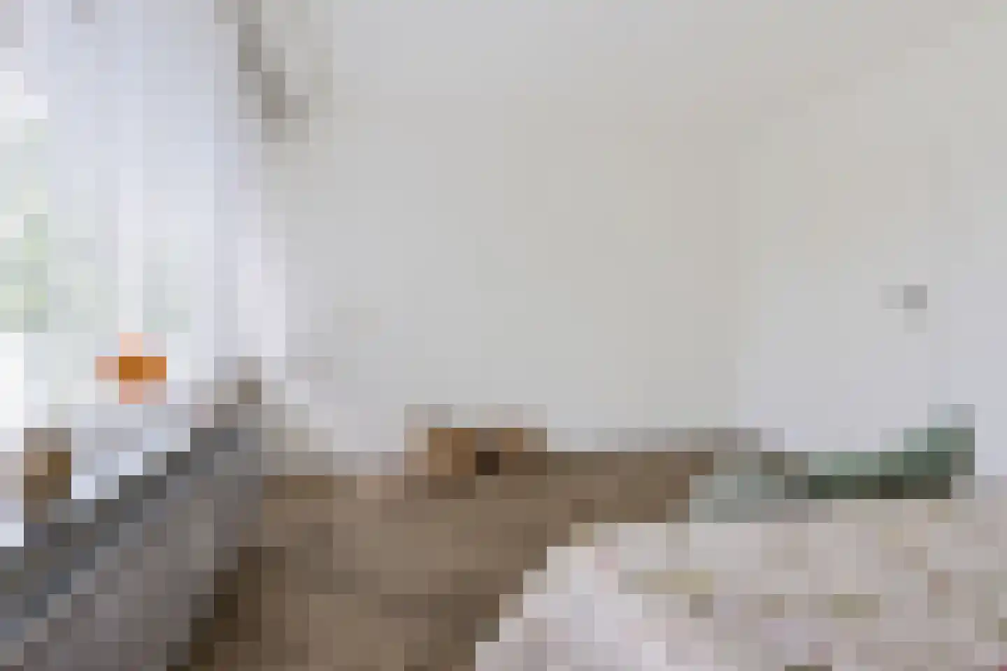 Eleanor Rooseveltlaan 18 Amstelveen thumbnail 27