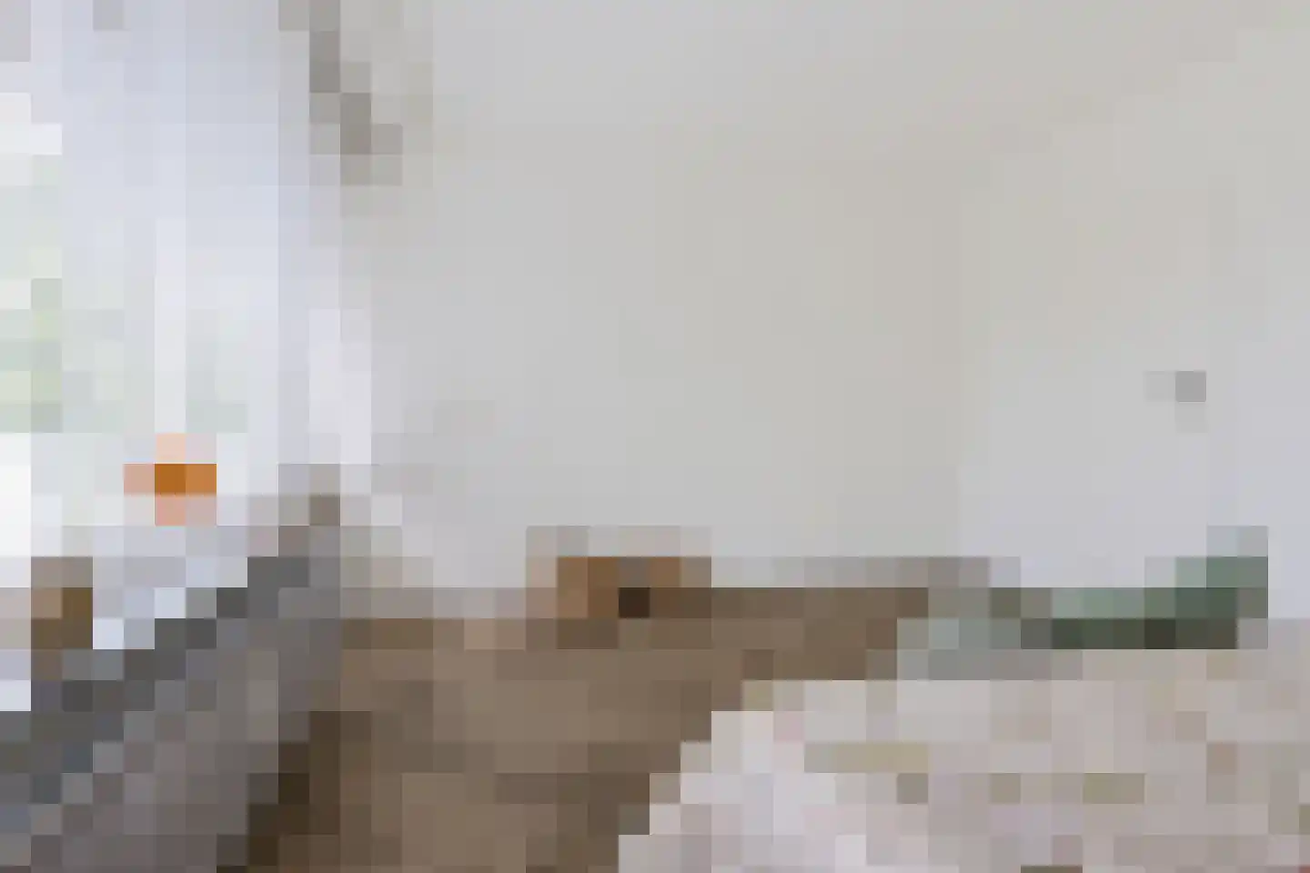 Eleanor Rooseveltlaan 18 Amstelveen thumbnail 27