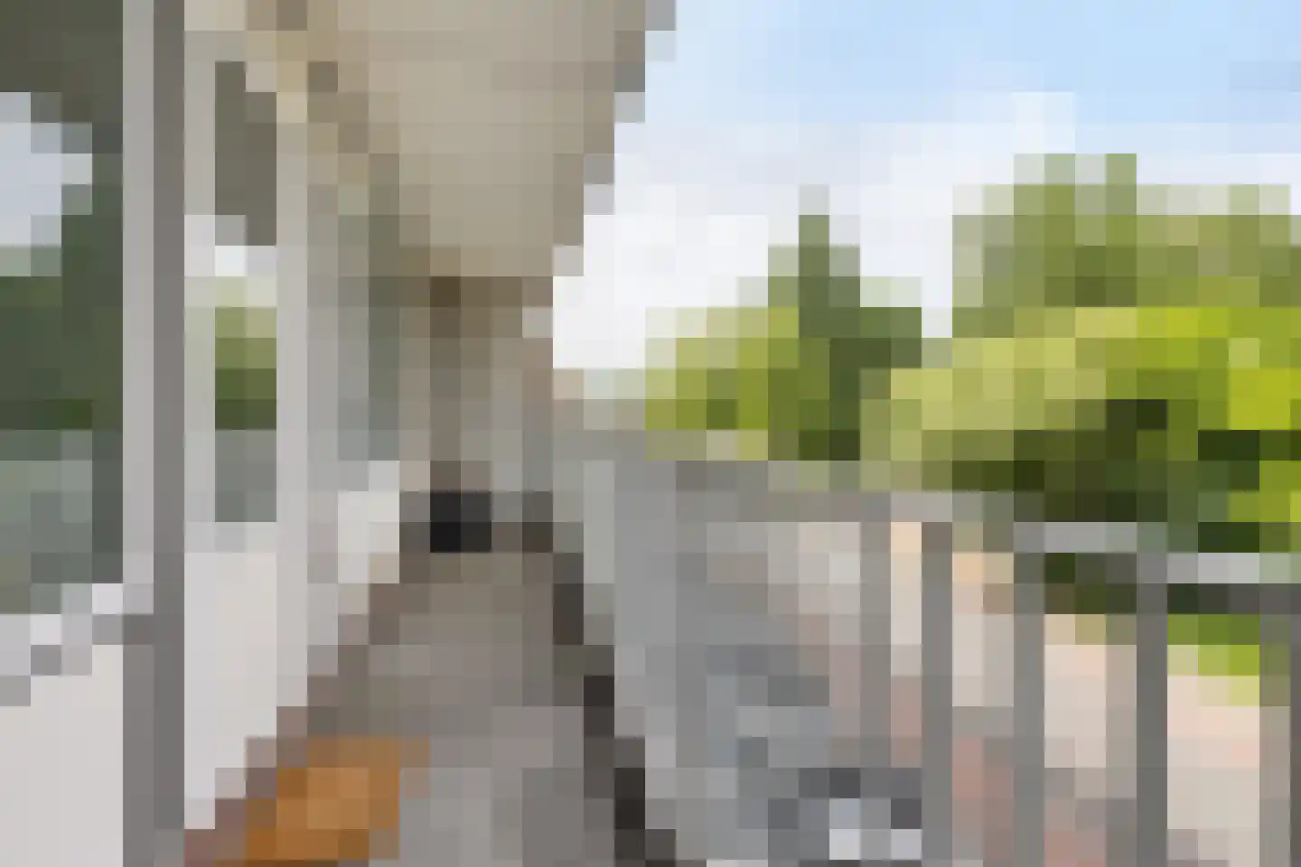 Eleanor Rooseveltlaan 18 Amstelveen thumbnail 28