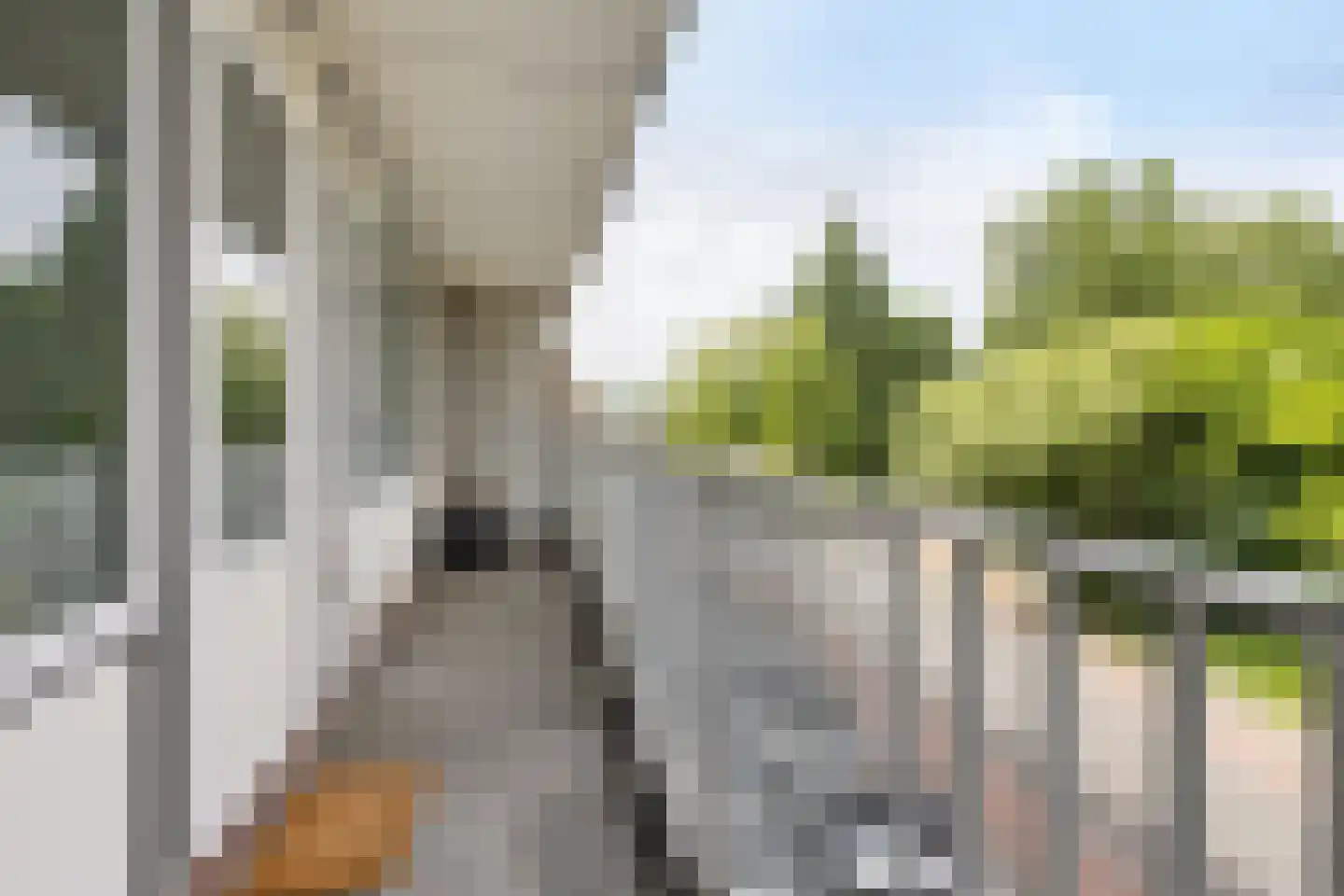 Eleanor Rooseveltlaan 18 Amstelveen thumbnail 28