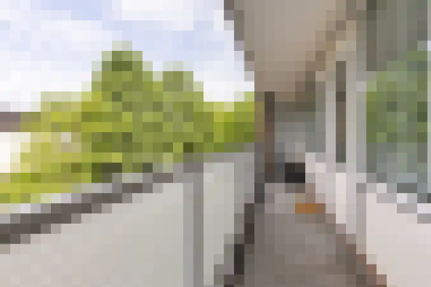 Eleanor Rooseveltlaan 18 Amstelveen thumbnail 29