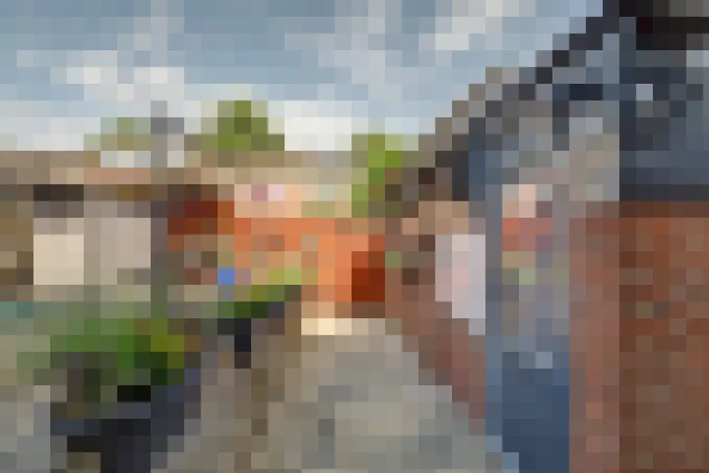 Elect van Luikstraat 19 Gorinchem thumbnail 24