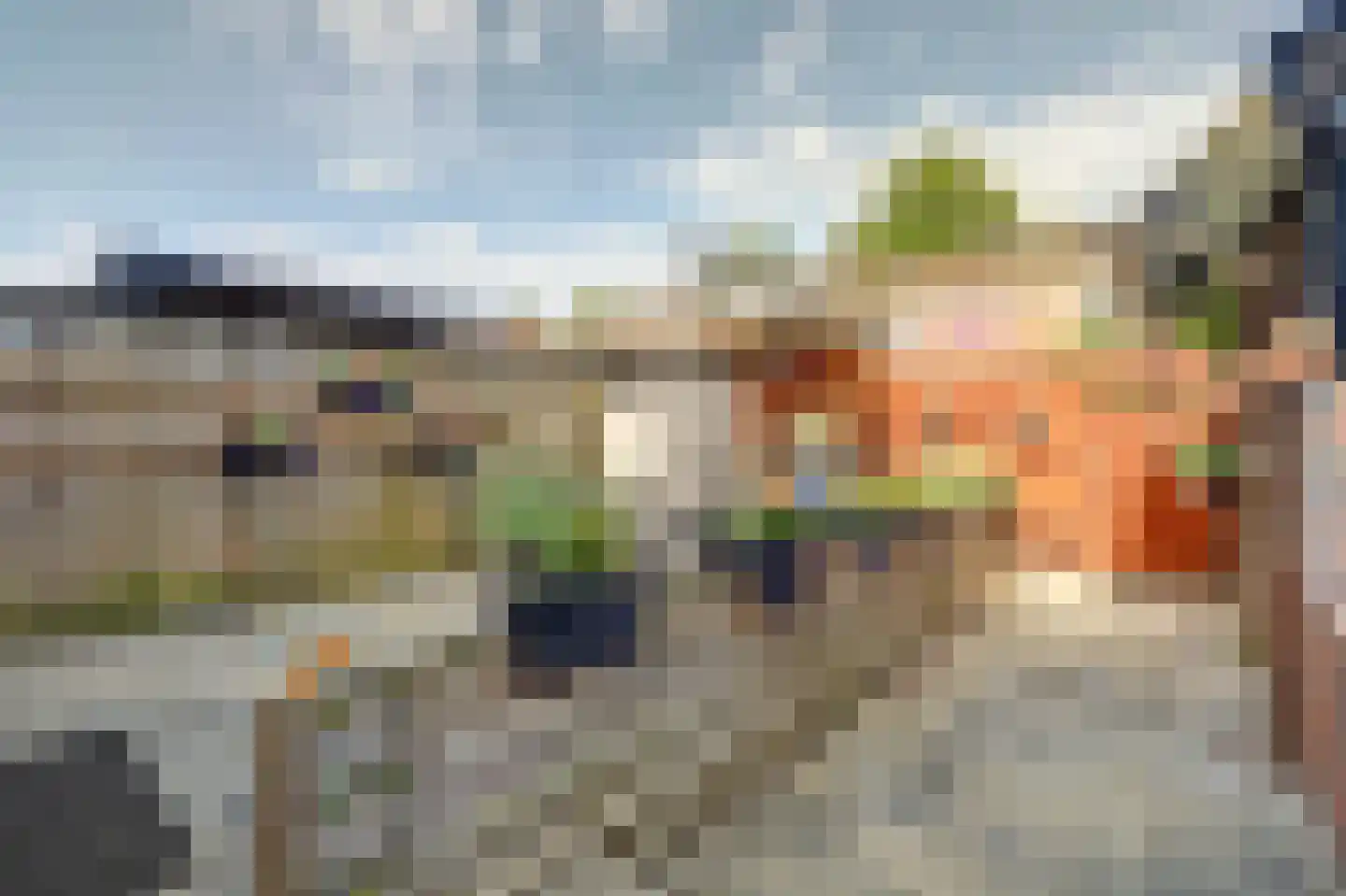 Elect van Luikstraat 19 Gorinchem thumbnail 25