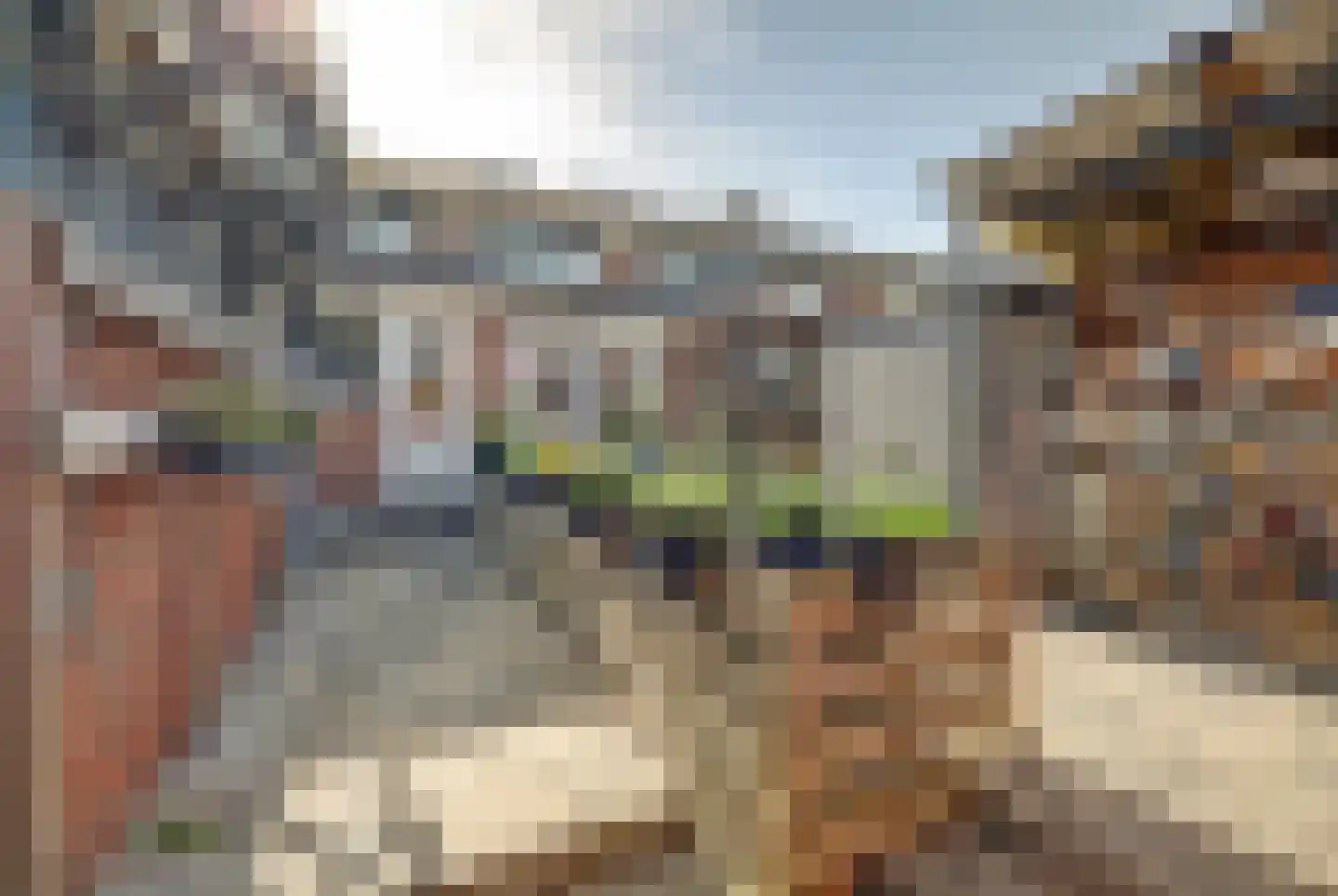 Elect van Luikstraat 19 Gorinchem thumbnail 27