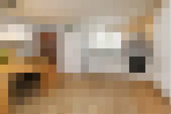 Electrablauw 48 Zoetermeer thumbnail 10