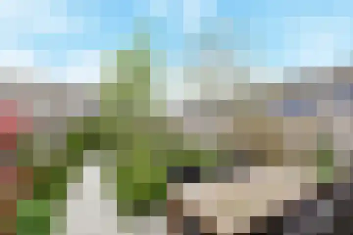 Electrablauw 48 Zoetermeer thumbnail 17