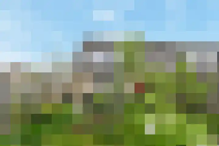 Electrablauw 48 Zoetermeer thumbnail 18