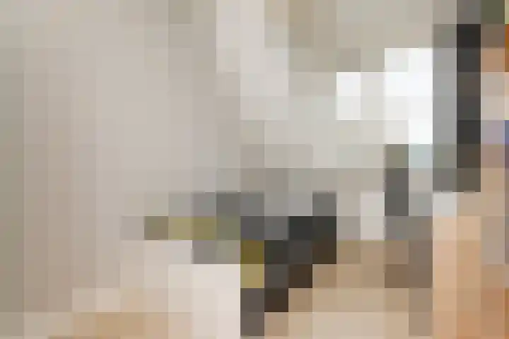 Electrablauw 48 Zoetermeer thumbnail 22