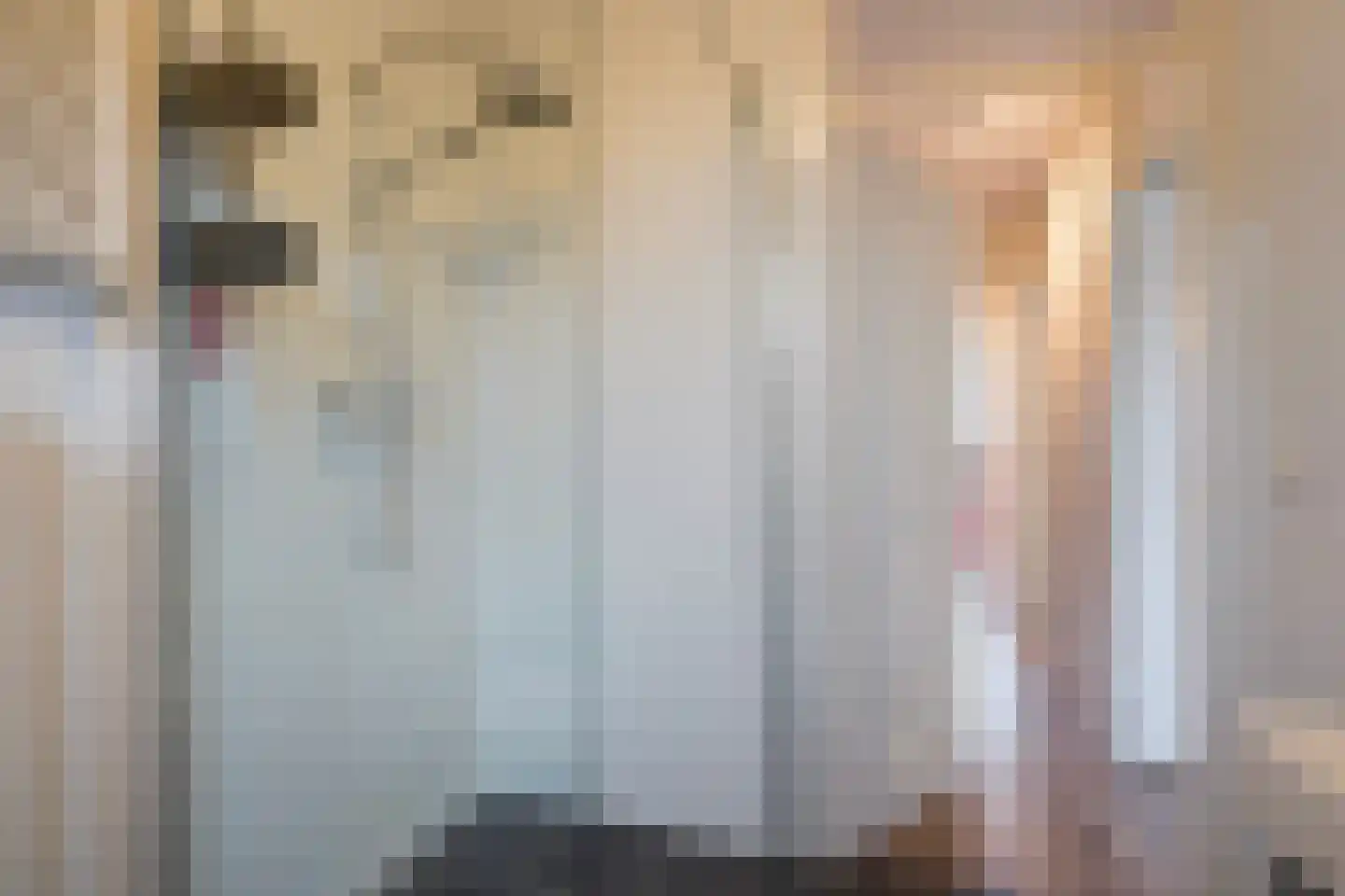 Electrablauw 6 Zoetermeer thumbnail 36
