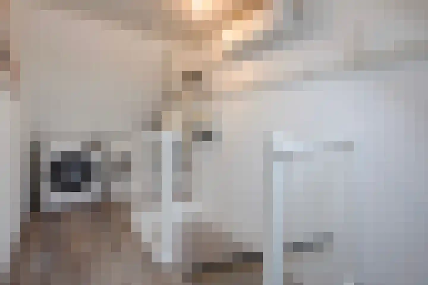 Electrablauw 6 Zoetermeer thumbnail 39