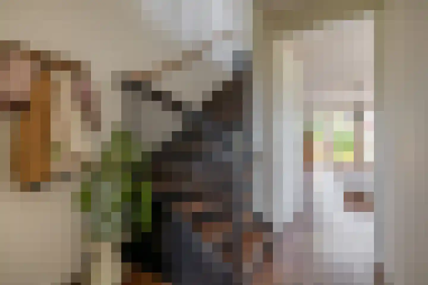 Electrastraat 19 Zuidhorn thumbnail 12