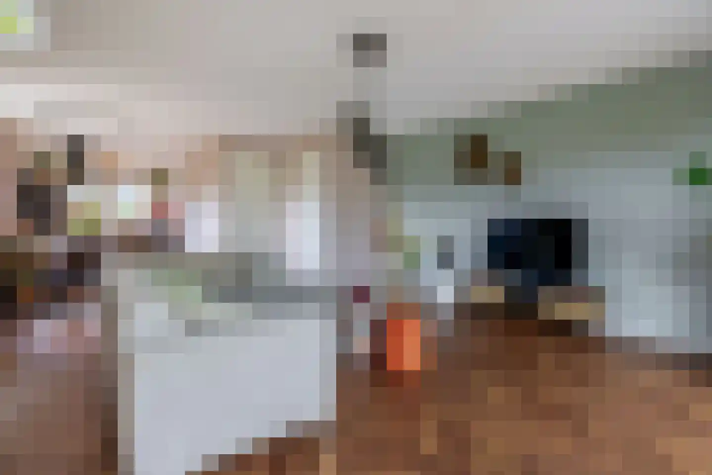 Electrastraat 19 Zuidhorn thumbnail 16