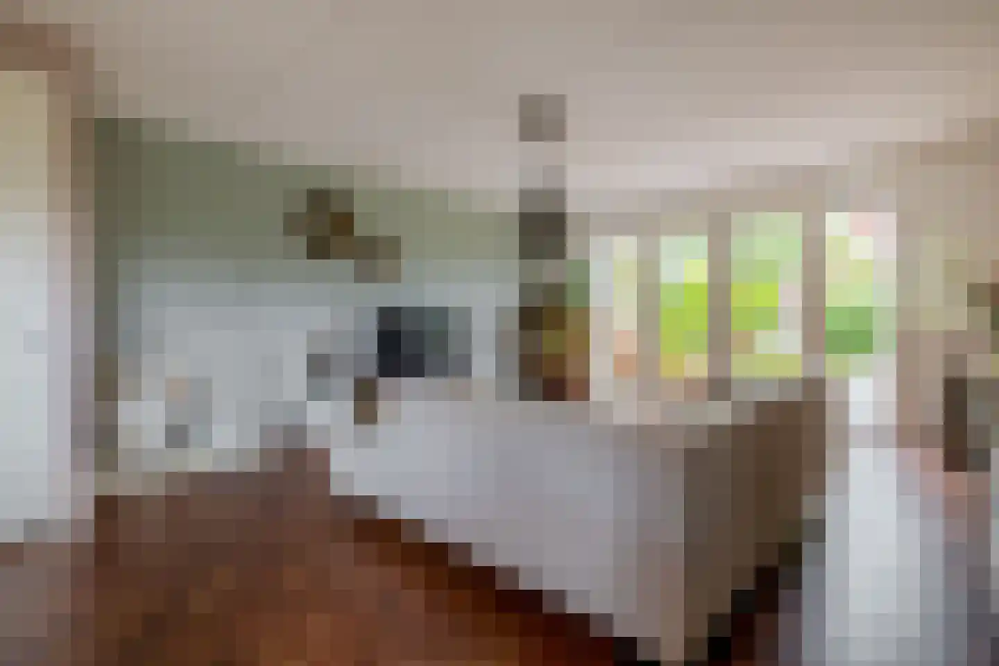 Electrastraat 19 Zuidhorn thumbnail 17