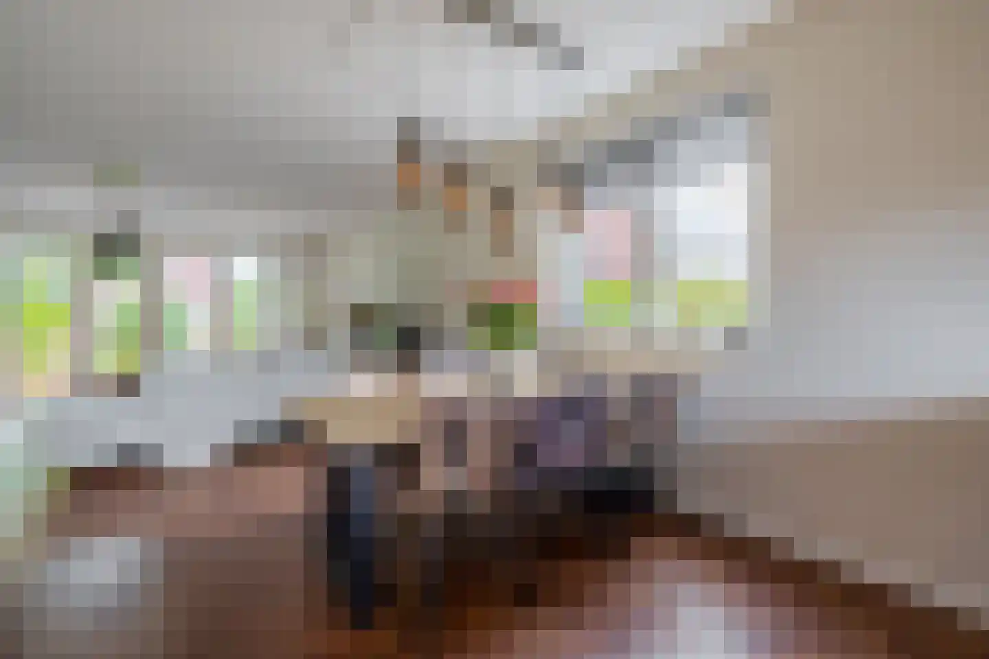 Electrastraat 19 Zuidhorn thumbnail 19