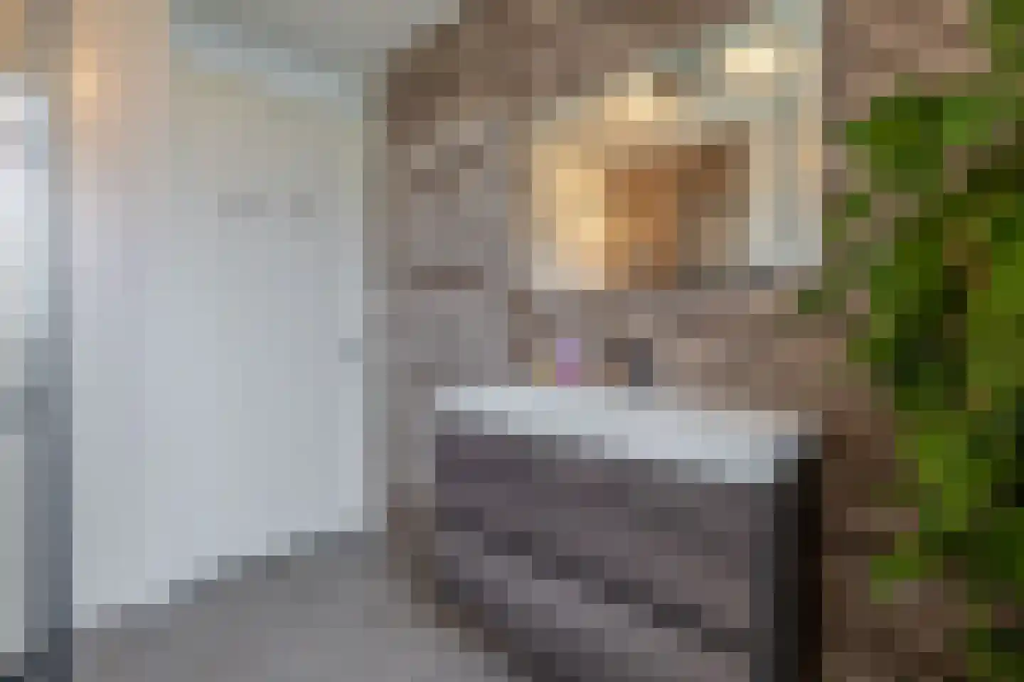 Electrastraat 19 Zuidhorn thumbnail 29