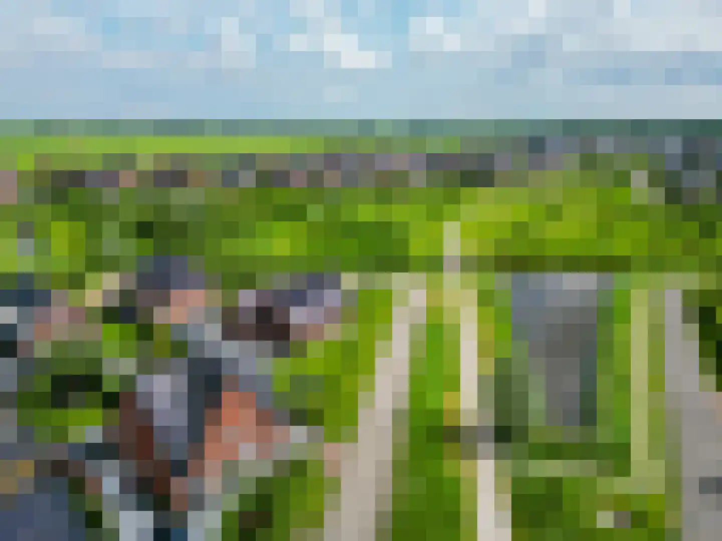 Electrastraat 19 Zuidhorn thumbnail 47