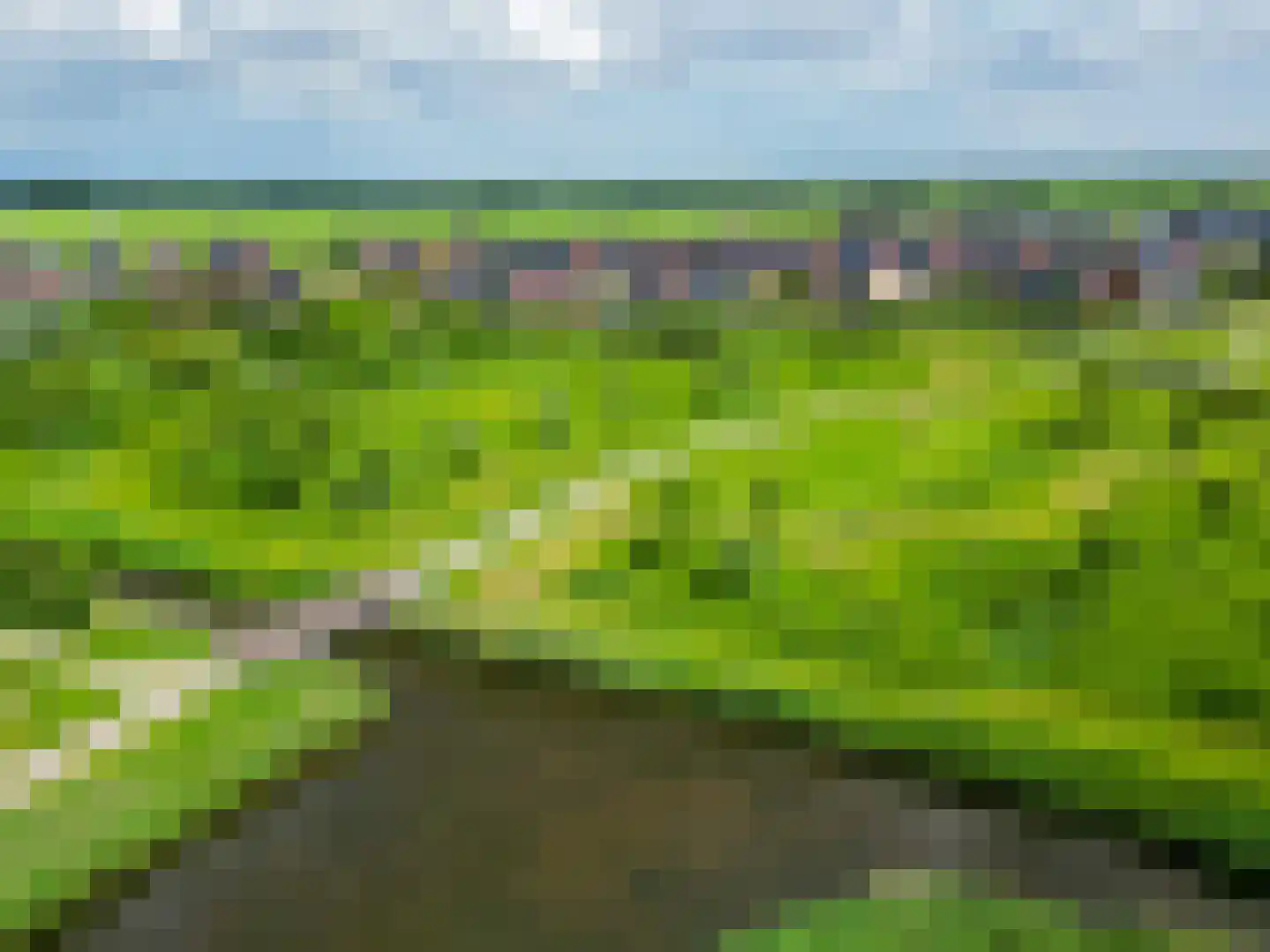 Electrastraat 19 Zuidhorn thumbnail 48